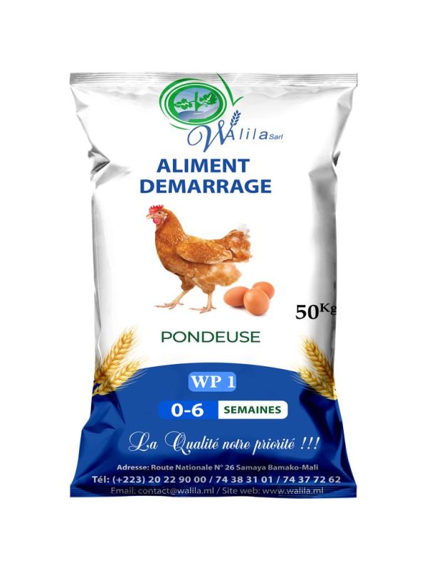 P1 WP1 – Aliment Démarrage Pondeuse